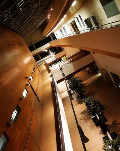 Медицинский университет Гданьска - Medical University of Gdańsk - 2