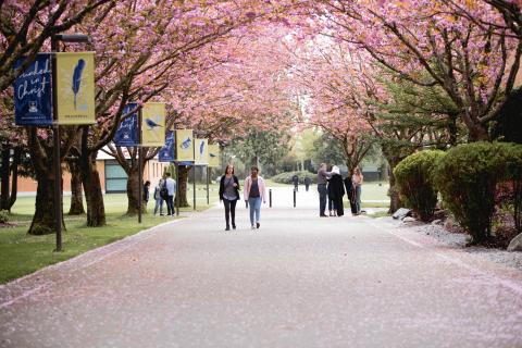 Западный университет Тринити - Trinity Western University - 4