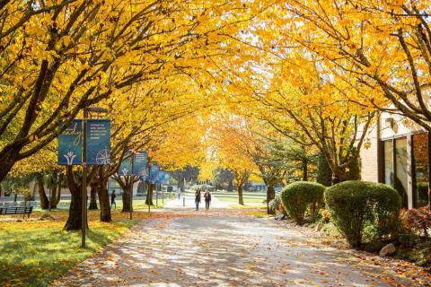 Западный университет Тринити - Trinity Western University - 5