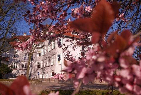 Медицинский университет Гданьска - Medical University of Gdańsk - 3