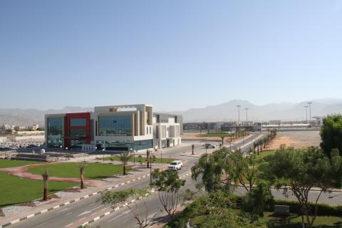 Университет медицины и здравоохранения Рас-Аль-Хаймы - Ras Al Khaimah Medical and Health Sciences University - 3