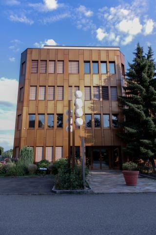 Международная Бизнес Академия Швейцарии - International Business Academy of Switzerland - 1