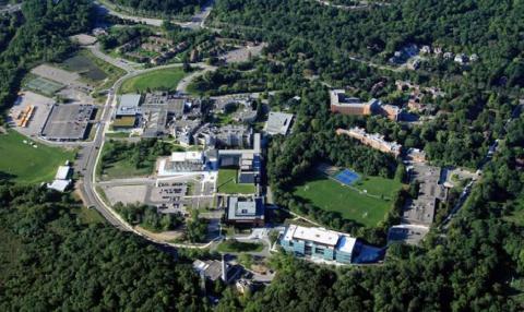 Языковые центры Tamwood - Tamwood Language Centres - 4