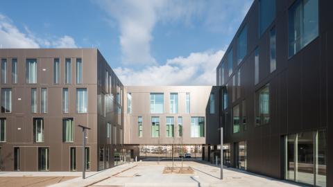 Медицинский университет Karl Landsteiner - Karl Landsteiner Privatuniversität für Gesundheitswissenschaften - 5