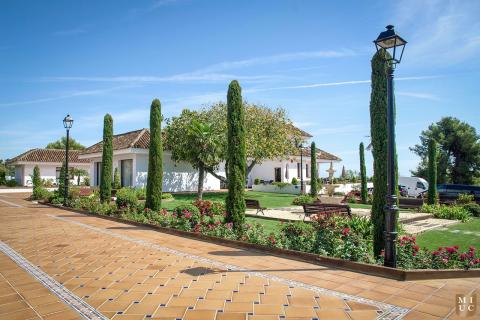 Международный университетский центр Марбельи - Marbella International University Centre