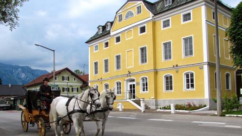 Американская международная школа-Зальцбург - American International School-Salzburg