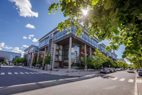 Парижская школа бизнеса