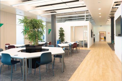 Бизнес-школа EU- EU Business School