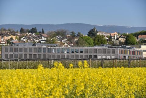 Международная школа Ла Кот, Обон - La Côte International School Aubonne