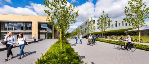 Оснабрюкский университет прикладных наук - Hochschule Osnabrück