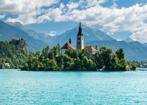 Колледж менеджмента VM Bled