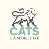 Международная школа CATS Cambridge – CATS Cambridge - 5